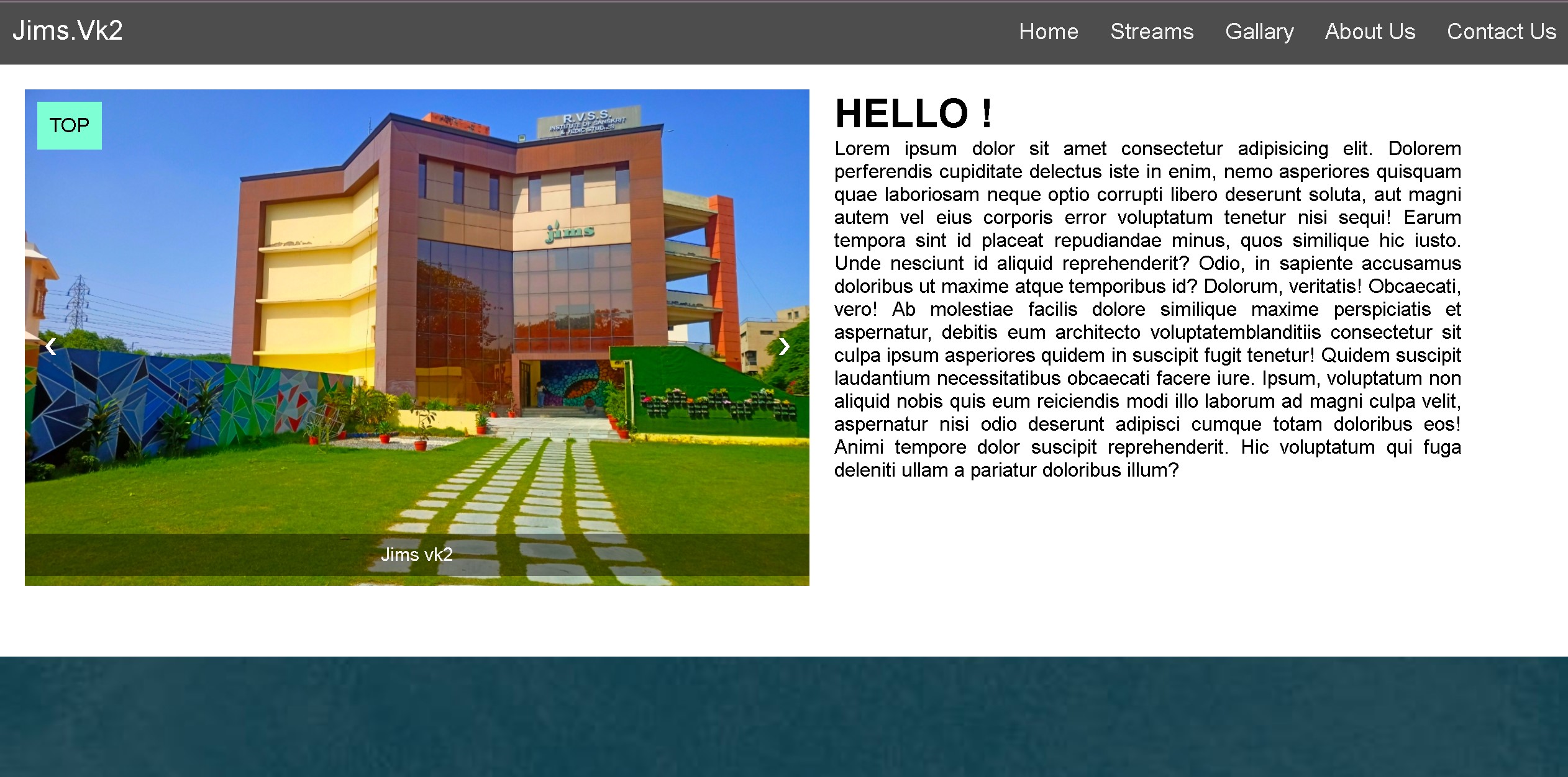 College Website